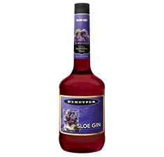 Bottle of DeKuyper® Sloe Gin