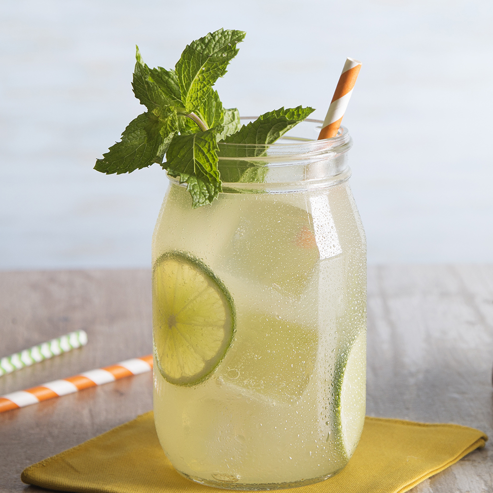 Drink Recipes With Vodka And Ginger Beer Besto Blog