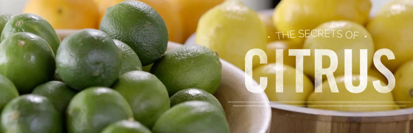 Secrets of Citrus