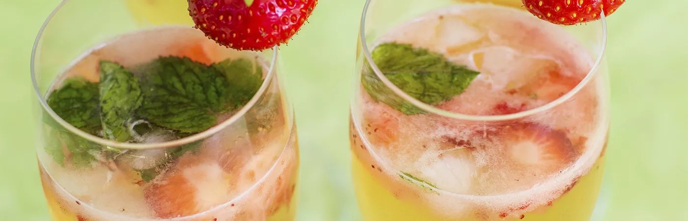  Bartending  Bartender’s Guide