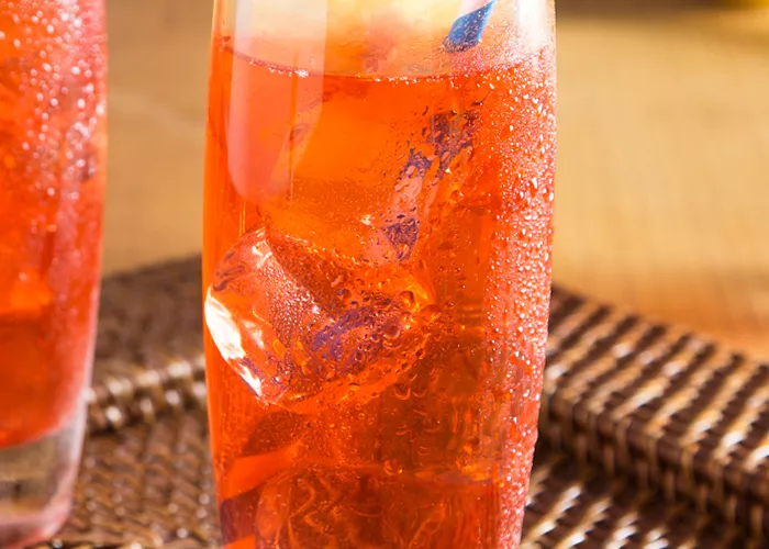 Two glasses of Sloe Gin Fizz, each garnished with a round lemon slice, ice cube, and a straws, are placed on a tray