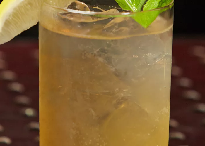 A glass of  Sauza® 901® Club garnished with lemon slice,mint leaves and ice cubes placed on dotted steel  table