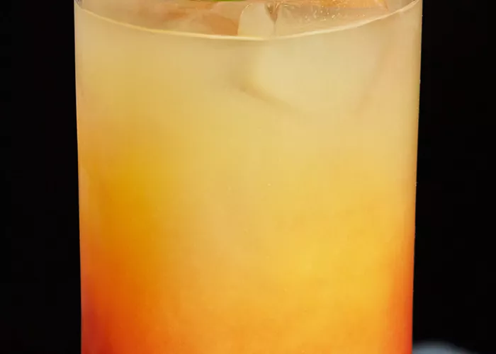 Glass of Tequila Baybreeze garnished with ice and a leaf