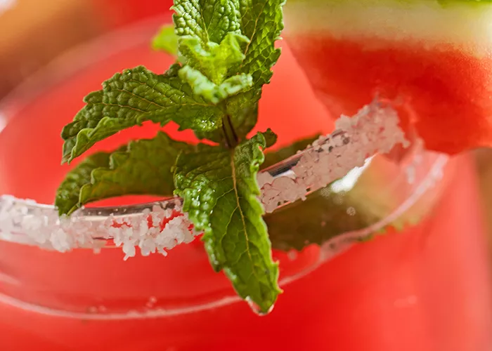  100% 11 C38  Glass of Watermelon Margarita garnished with mint leaves and watermelon slice, also rimmed with salt      	 Glass of Watermelon Margarita garnished with mint leaves and watermelon slice, also rimmed with salt Turn on screen reader support   To enable screen reader support, press Ctrl+Alt+Z To learn about keyboard shortcuts, press Ctrl+slash2 collaborators have joined the document.