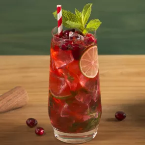 a glass of Cranberry Mojito with ice cubes, lime slice and cranberries and straws garnished with mint leaves alongside few cranberries