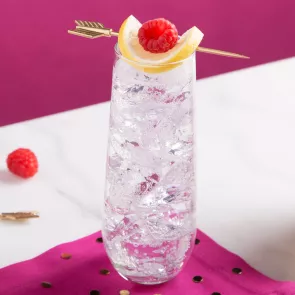 Glass of Citrus Fizz garnished with raspberry and lemon slice
