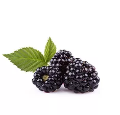 Blackberries