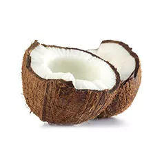 Cream of Coconut