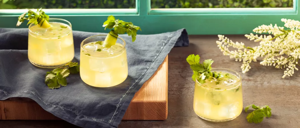 Three glasses of Everblooming Fizz garnished with sprig of cilantro wrapped with a thin slice of fresh cucumber two on blue cloth on wooden board