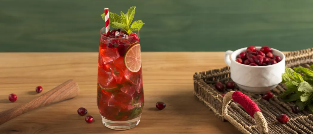 a glass of Cranberry Mojito with ice cubes, lime slice and cranberries and straws garnished with mint  leaves alongside few cranberries, a muddle and a straw with few cranberries, a cup of cranberries and some mint leaves
