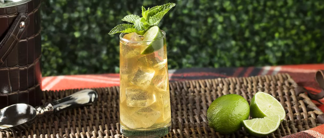 Glass of Derby Spritzer garnished with mint leaves and lime wedge alongside few lime and lime wedges