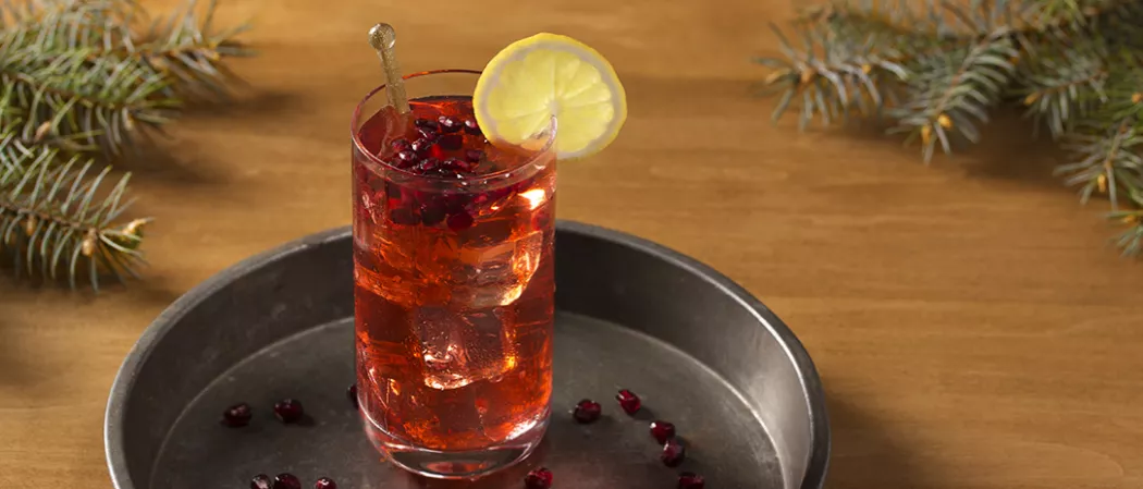A glass of red liquid with a lemon wedge on the rim