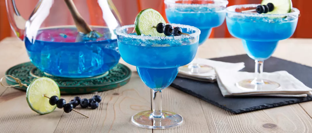 Three glasses of Blueberry Margarita garnished with blueberries, lemon wheel on a pick, and a salt rim. Two  are on a tissue on a black tray, alongside blueberries, lemon wheel on a pick