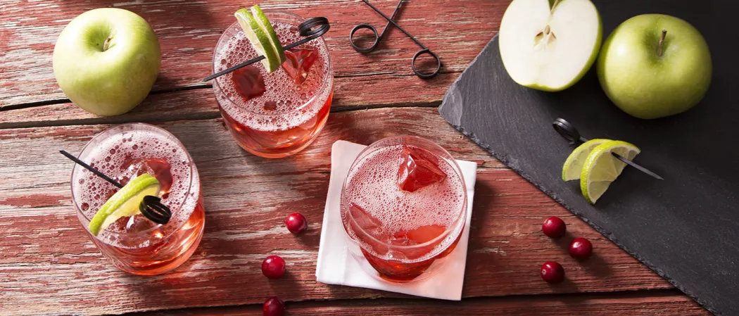 2 glasses of Orchard Twist garnished with crushed ice and lemon sliecs and one on white coaster. alongside some cranberries, a green apple and  a black tray with few green apples and lemon silces.