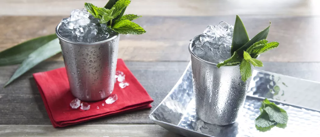 Two glasses of Mexican Julep, garnished with crushed ice and fresh mint sprigs, are presented—one resting on a red cloth and the other in a steel tray, accompanied by additional mint sprigs