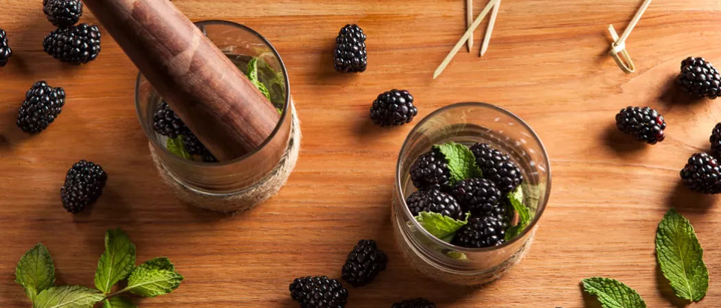 One glass has blackberries and mint leaves, the other has the same with a wooden crusher.