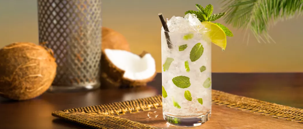 Glass of Classic Mojito garnished with mint leaves, lemon wedge and straws