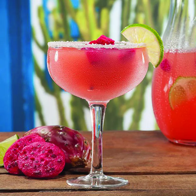 Prickly Pink Margarita | The Cocktail Project