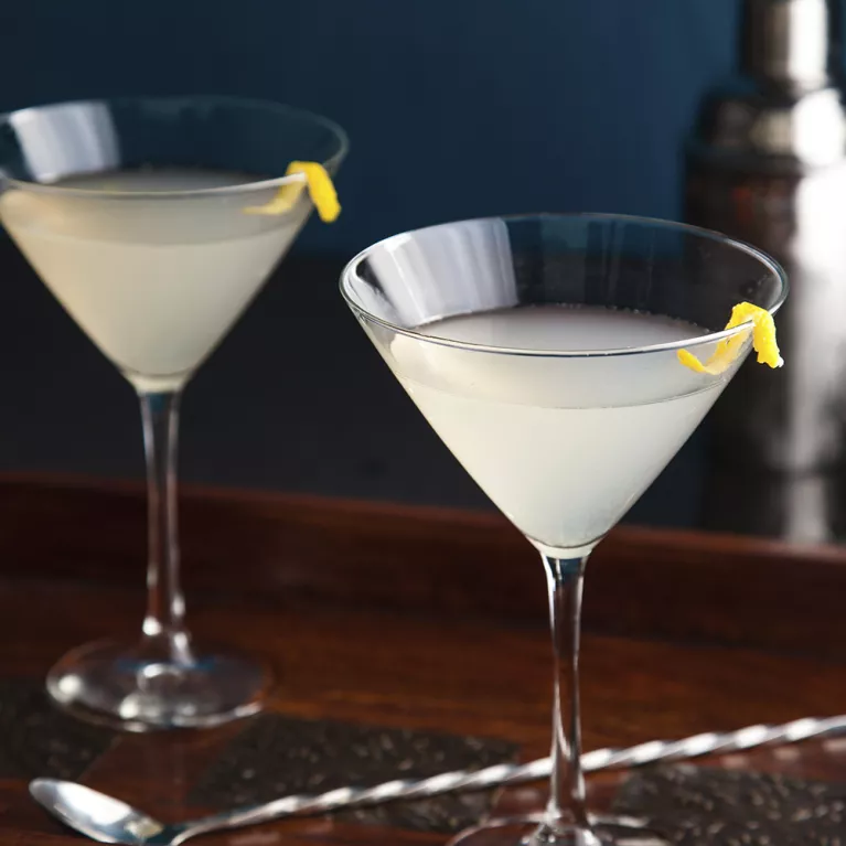 Elderflower Martini | The Cocktail Project